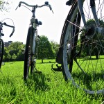 3 bicycles